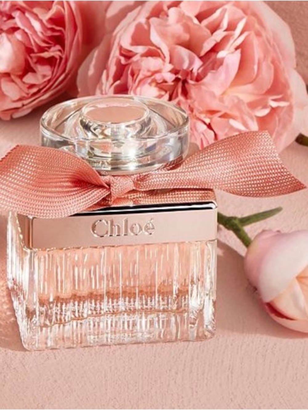 Chloe - Roses de Chloe - Picture 2 of 3